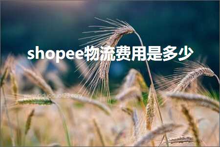 璺ㄥ鐢靛晢鐭ヨ瘑:shopee鐗╂祦璐圭敤鏄灏? width=