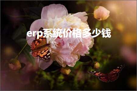 璺ㄥ鐢靛晢鐭ヨ瘑:erp绯荤粺浠锋牸澶氬皯閽? width=