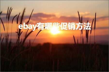 璺ㄥ鐢靛晢鐭ヨ瘑:ebay鏈夊摢浜涗績閿€鏂规硶