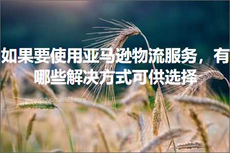 璺ㄥ鐢靛晢鐭ヨ瘑:濡傛灉瑕佷娇鐢ㄤ簹椹€婄墿娴佹湇鍔★紝鏈夊摢浜涜В鍐虫柟寮忓彲渚涢€夋嫨